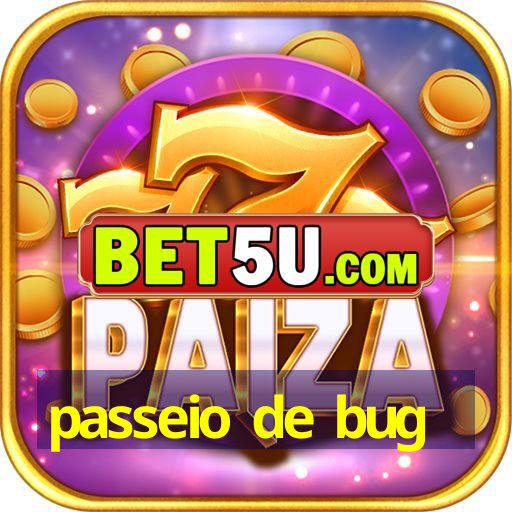 passeio de bug